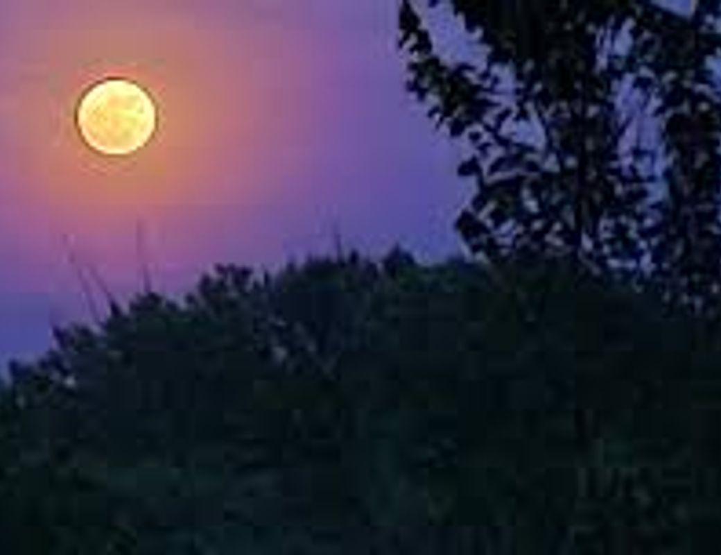 Beneath the Strawberry Moon