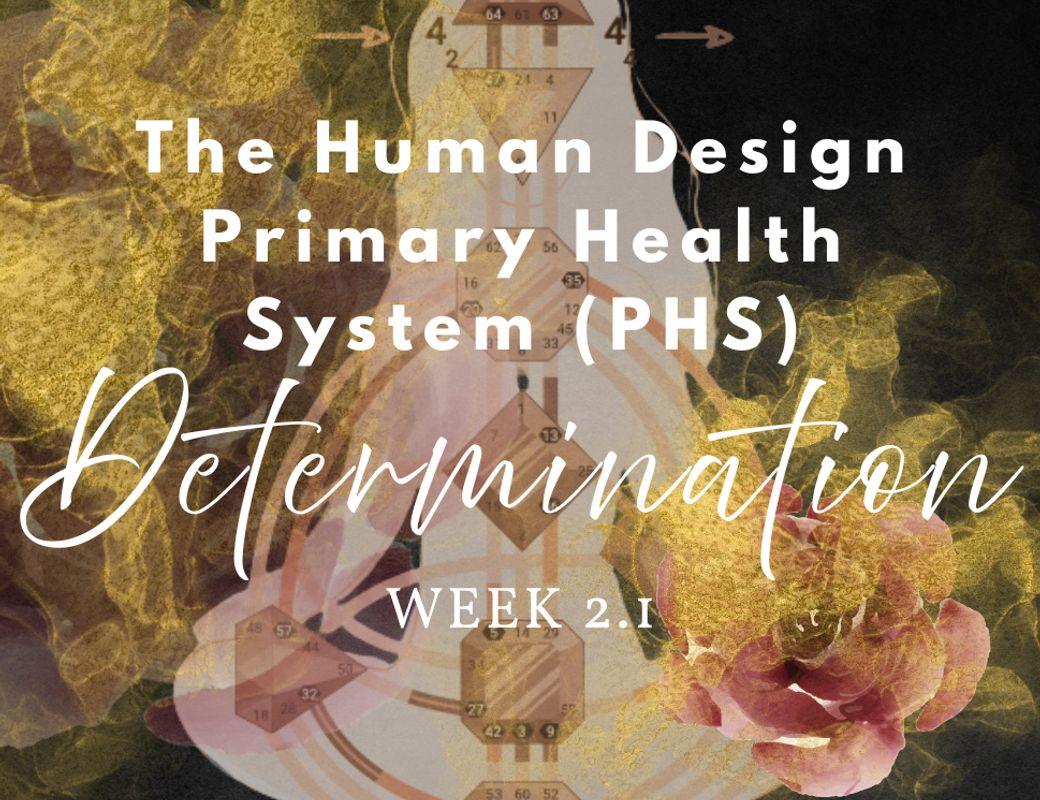 PHS Series | Week 2, Monday