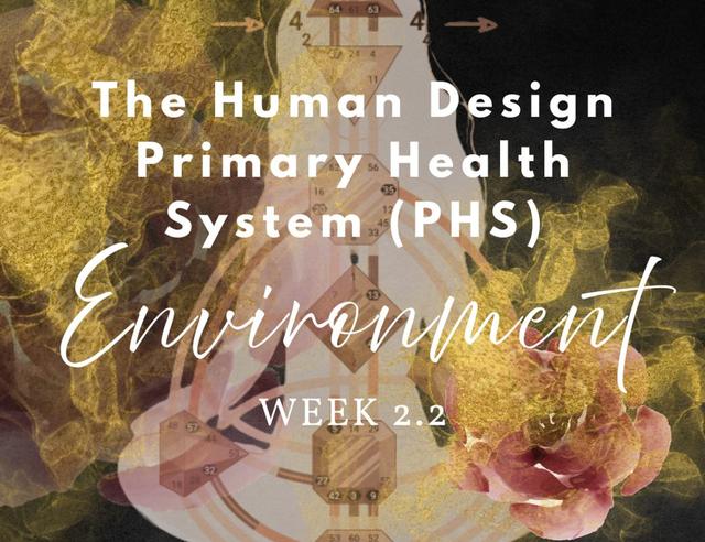 PHS Series | Week 2, Thursday