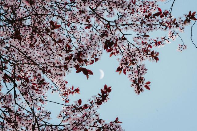 How the New Moon Affects Each Zodiac Sign