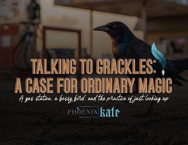 Talking to Grackles: A Case for Ordinary Magic