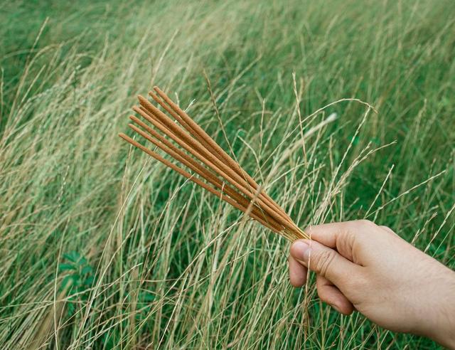 Practical Witch’s Mental Health Guide
