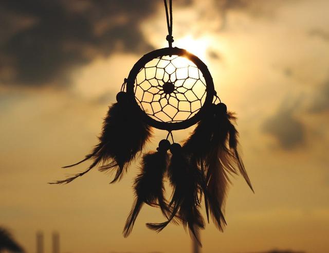 Can Anyone Become a Shaman?