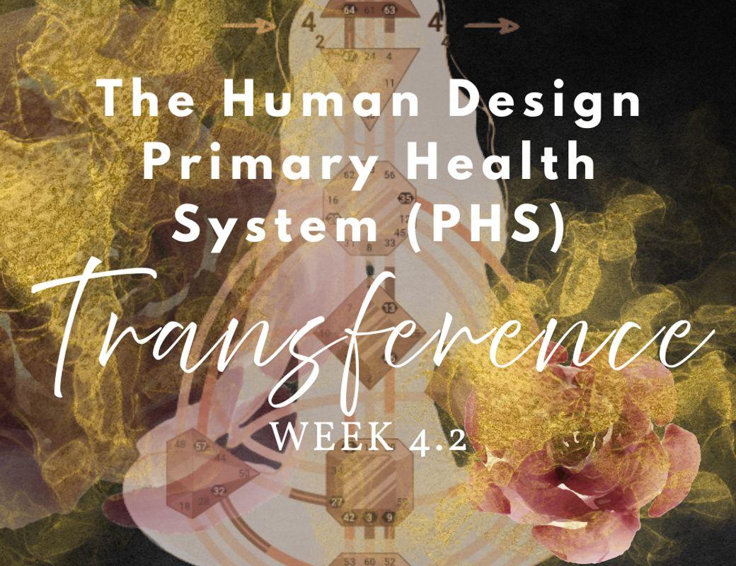 PHS Series | Week 4, Thursday