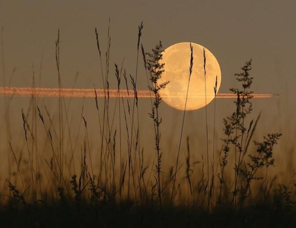 September Harvest Moon Magic