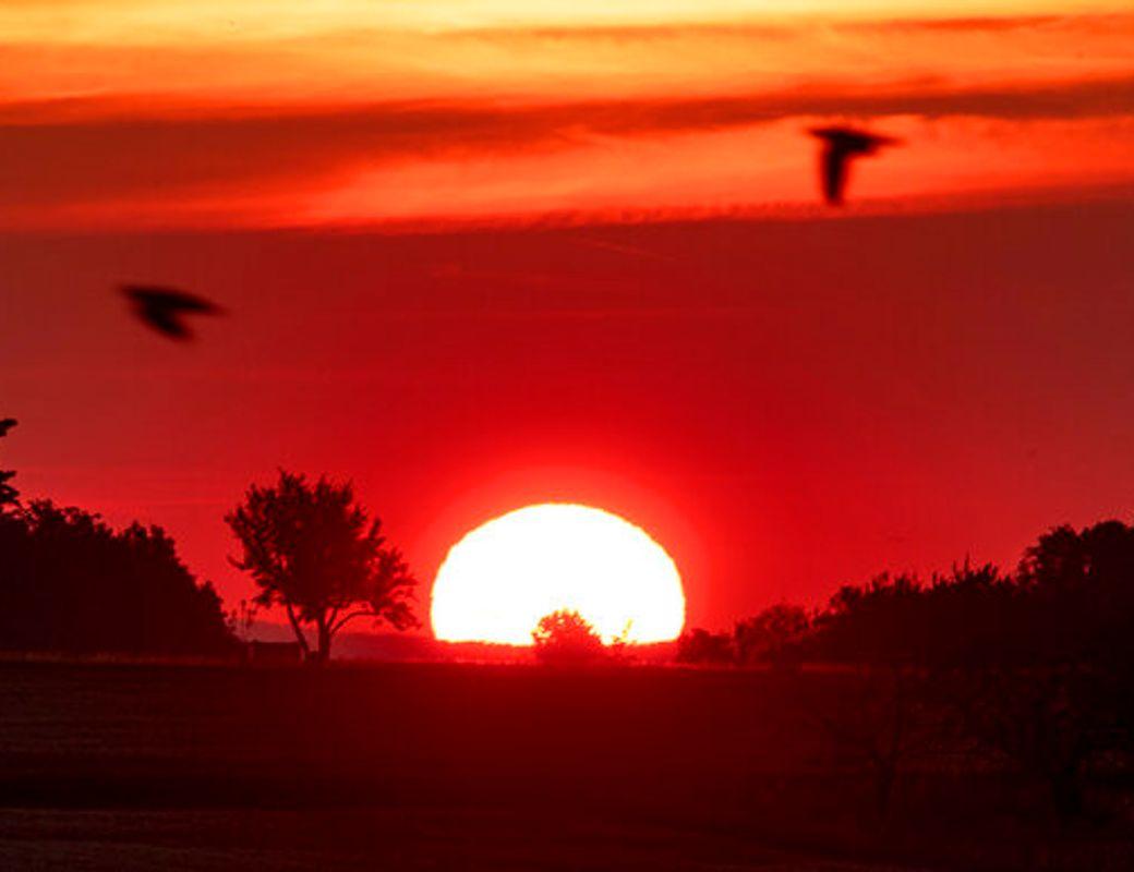 August Abundance, Embers & Eclipse Magic