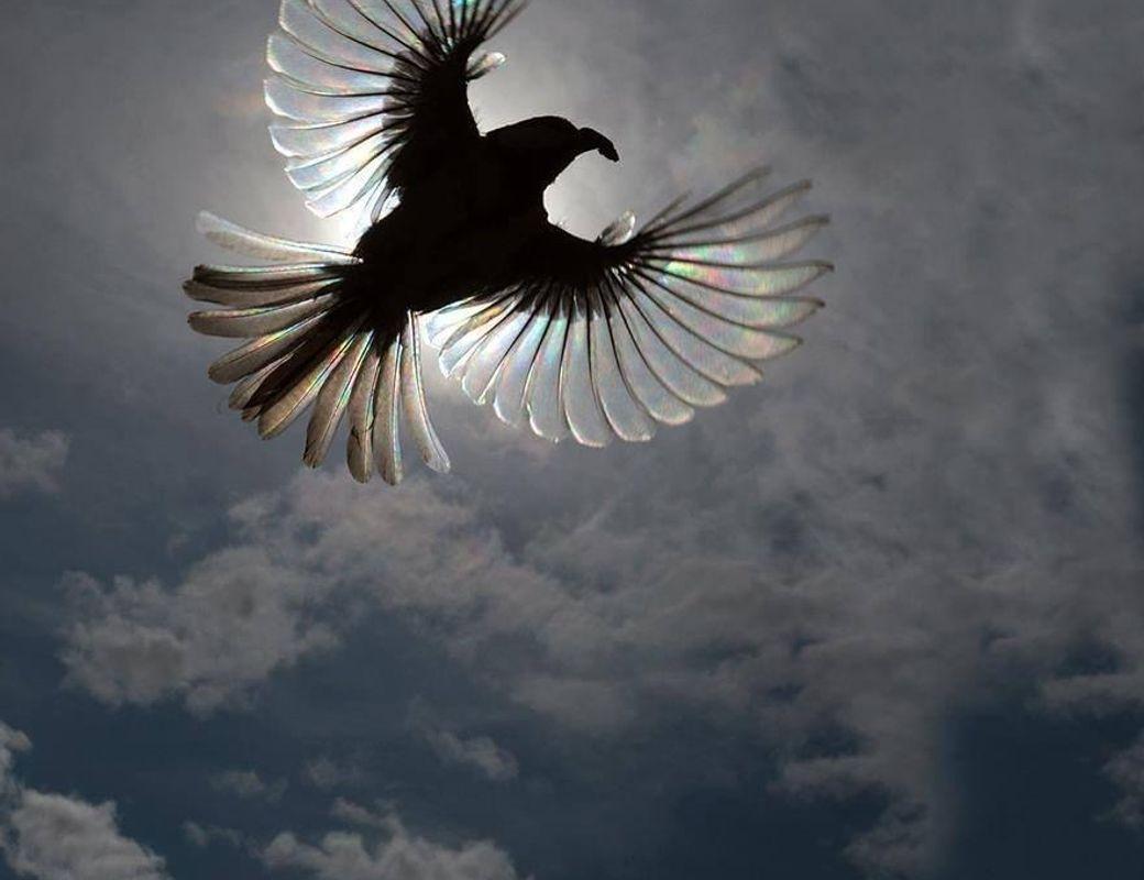 Awakening Beyond the Senses