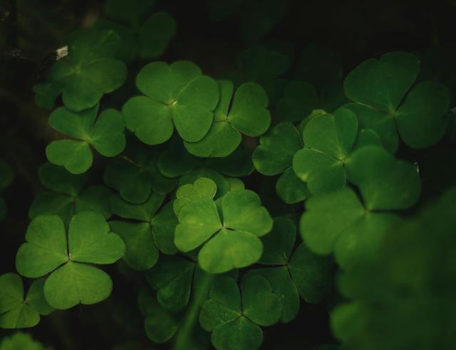 St. Patrick’s Day (A Day Late)