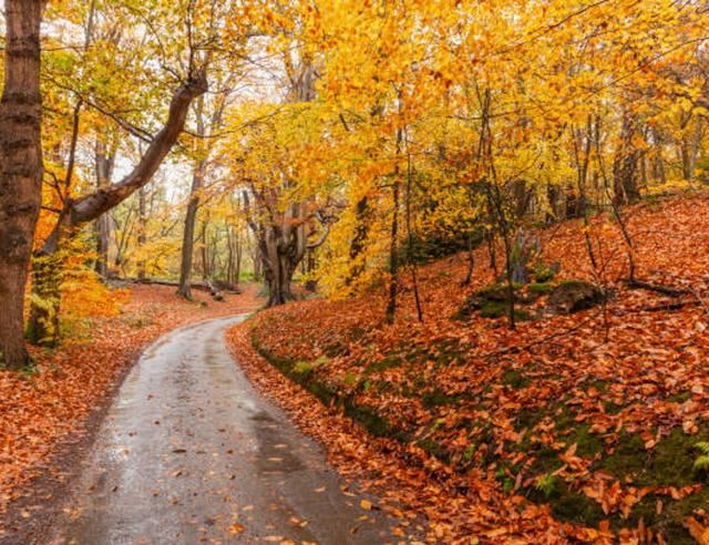 The Autumn Equinox