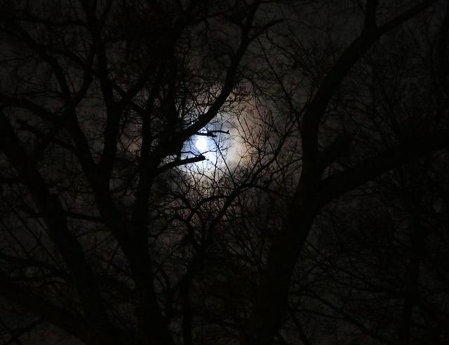 The Void of Course Moon