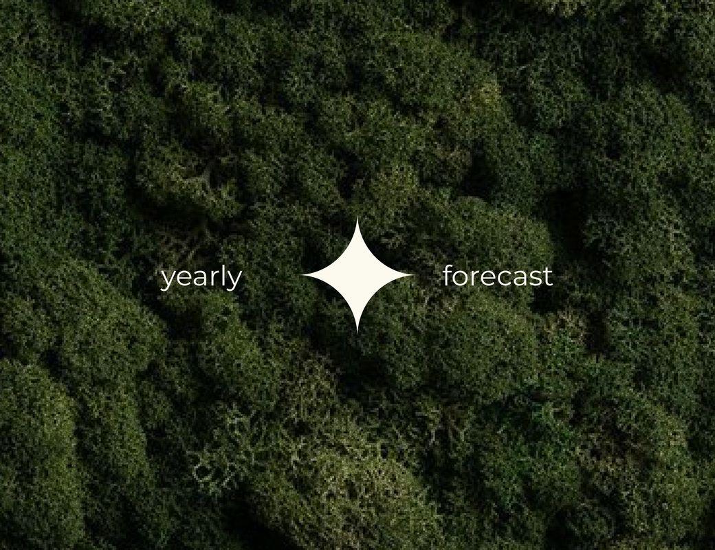 Forecast for the year | how my matrix worked