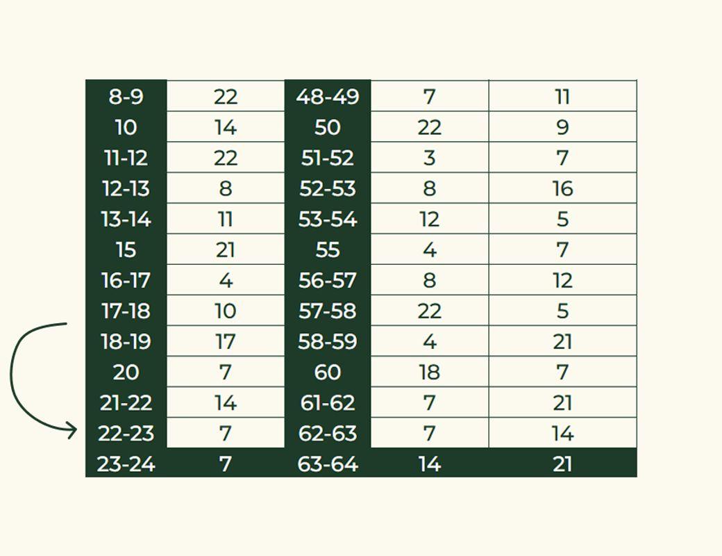 Illustration for Forecast for the year | how my matrix worked
