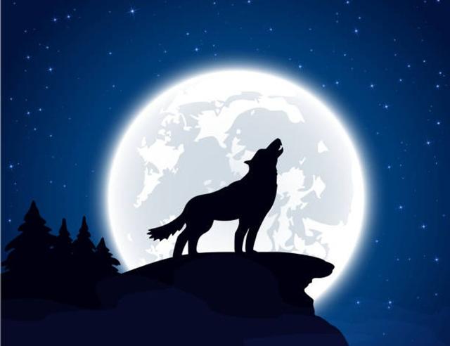The Howl Beneath the Moon