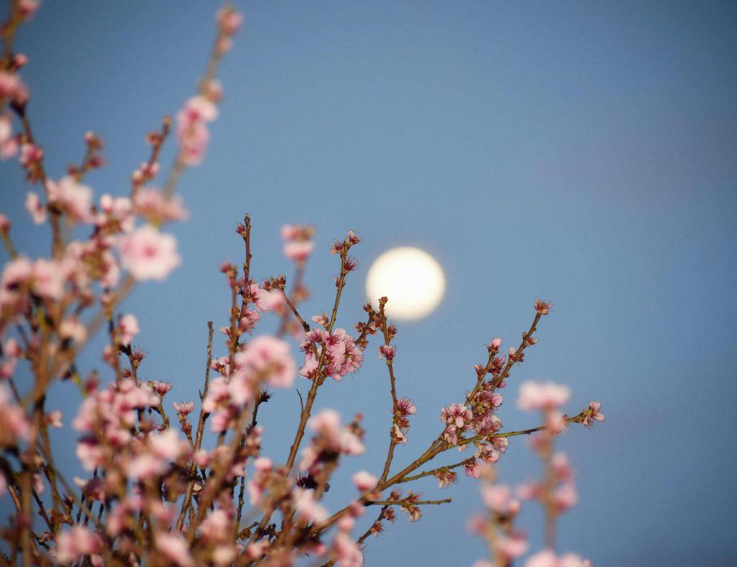 May of Deep Truths & Meaning — Two Full Moons