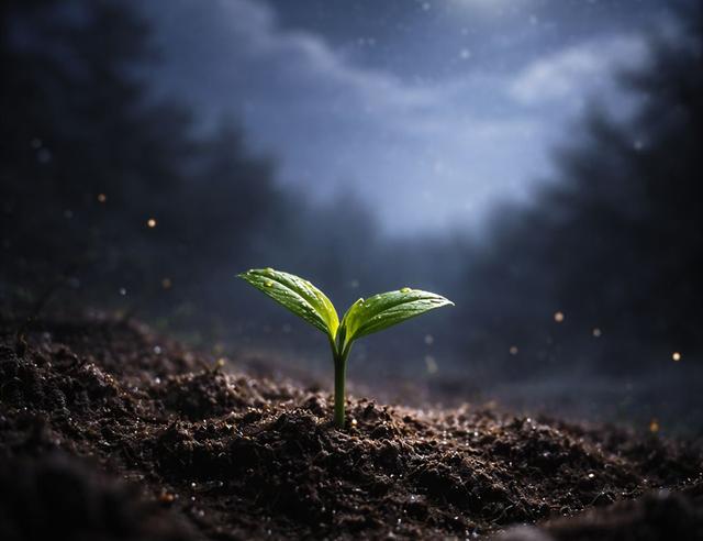 Not everything that begins blooms right away 🌑🌱