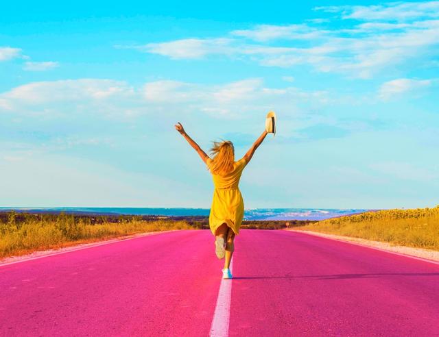 THE PURSUIT OF HAPPINESS