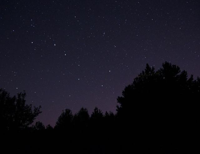 The Winter Night Sky