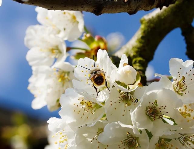 The Magic of Spring