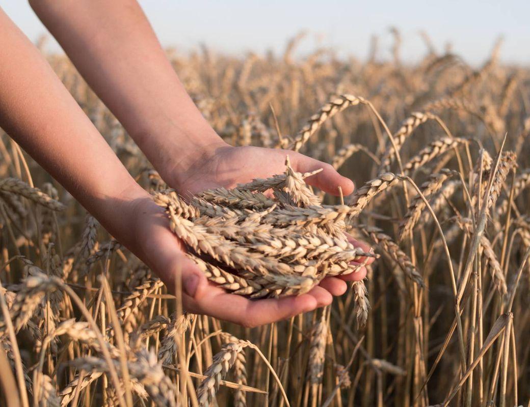 July Summer Harvest Magic