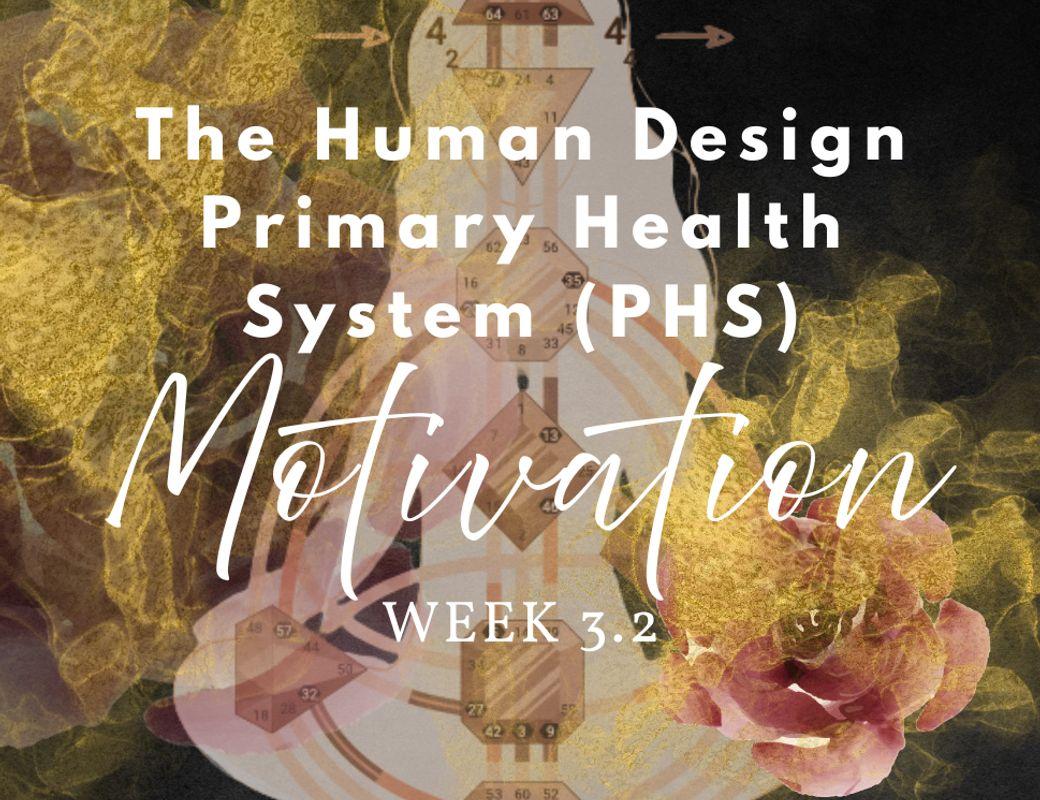 PHS Series | Week 3, Thursday