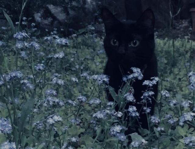 Magic and self-care