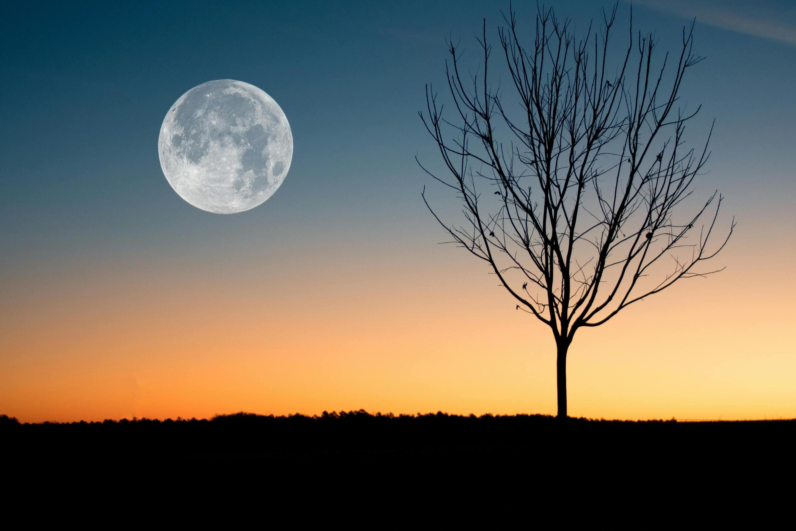 Illustration for Understanding our Moon Mother