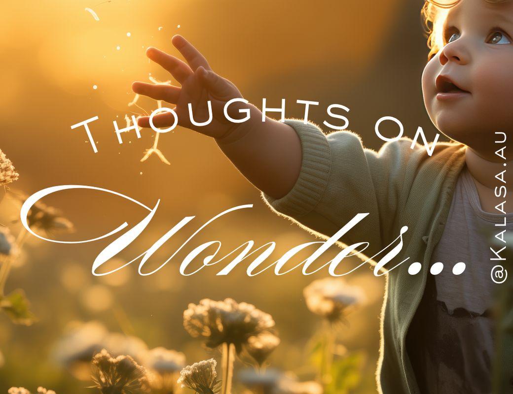 Thoughts on Reincarnation through Wonder. 