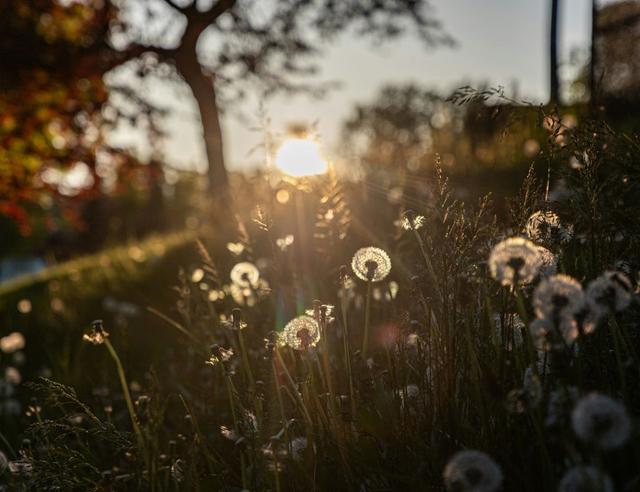 Ostara: A Simple Guide to Celebrating the Spring