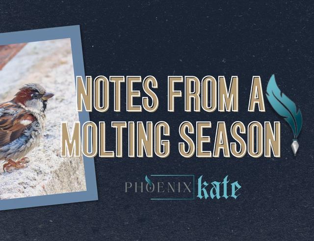 Notes From the Molting Season