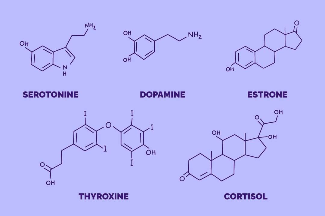Illustration for Human Hormones