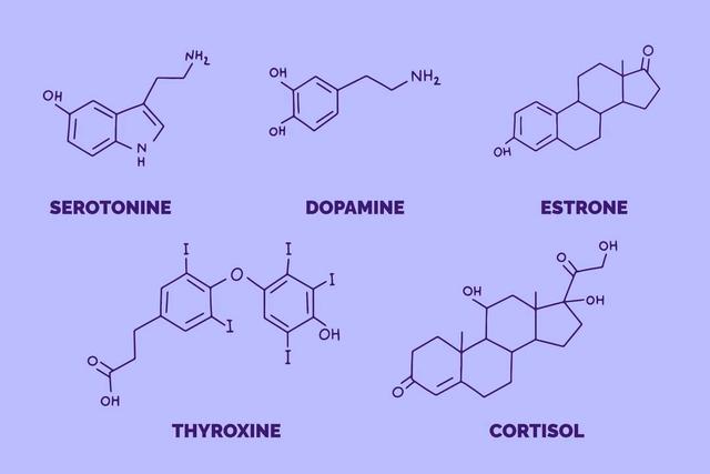 Human Hormones