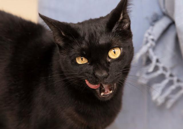 Baddies are from Pluto