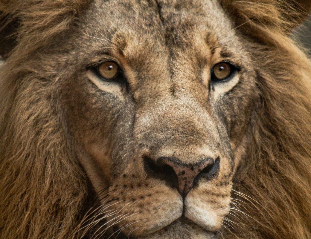 Jupiter enters Leo: June 30