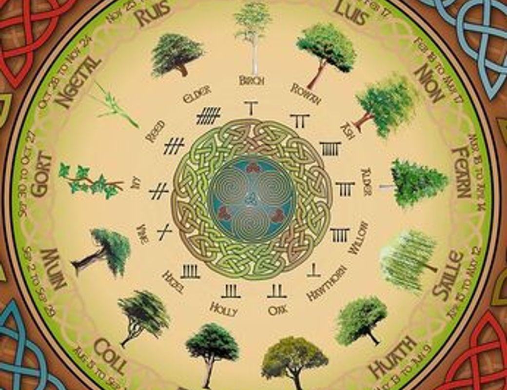 The Celtic Tree Calendar
