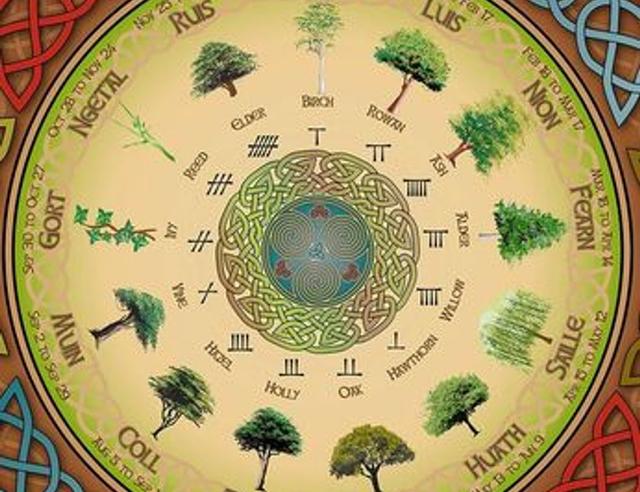 The Celtic Tree Calendar