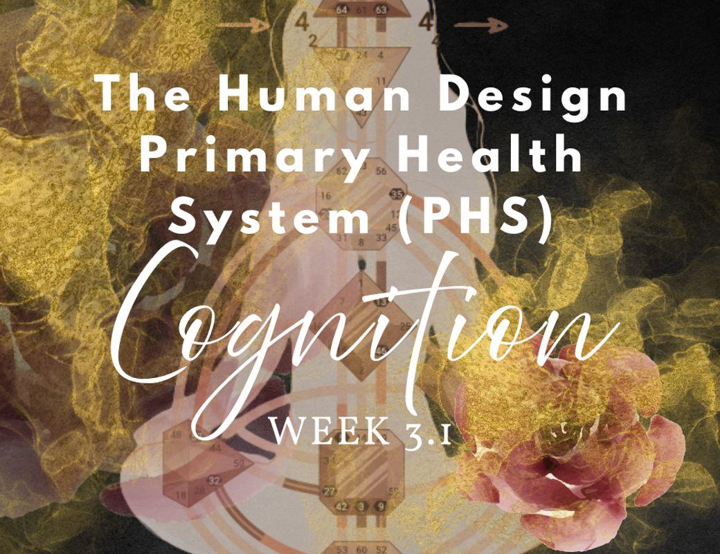 PHS Series | Week 3, Monday