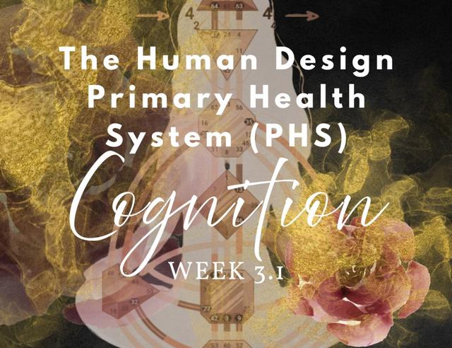 PHS Series | Week 3, Monday