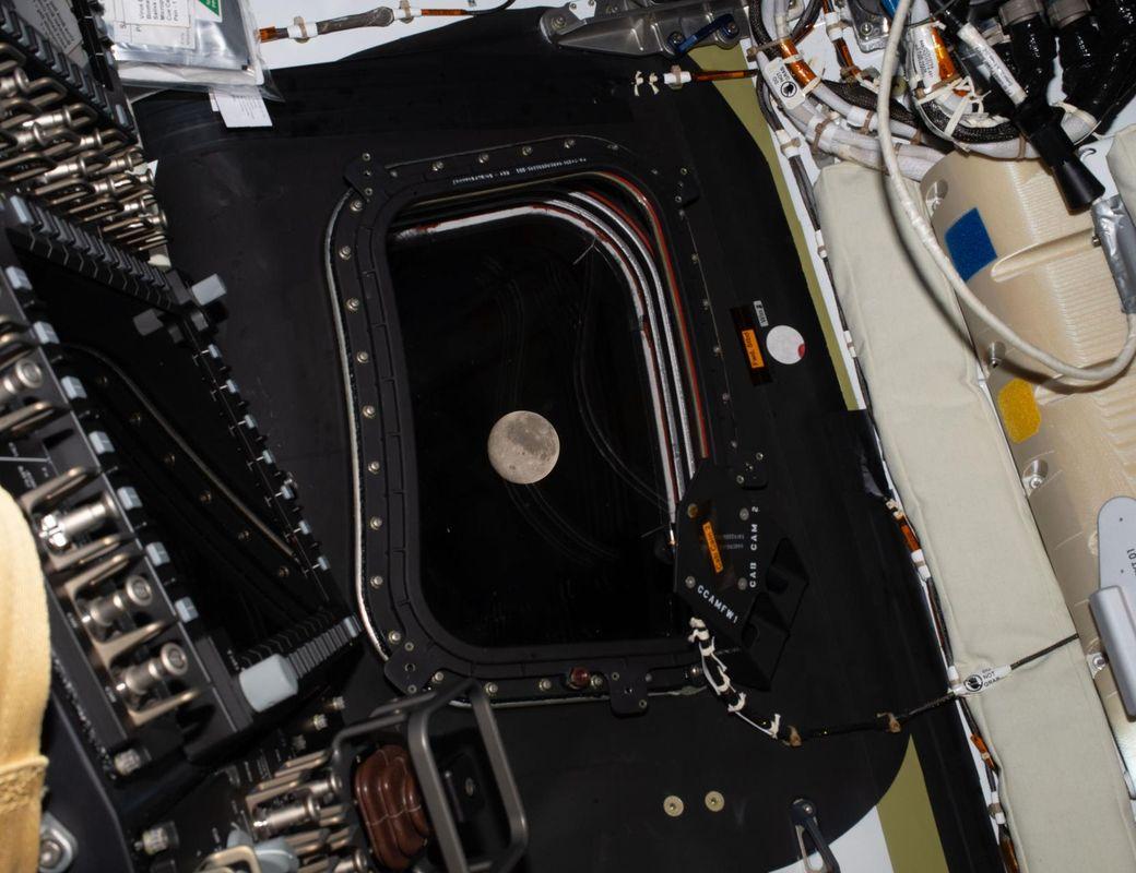 Illustration for Artemis II Lunar Flyby: A Mark on the 🌕 & Our ❤️