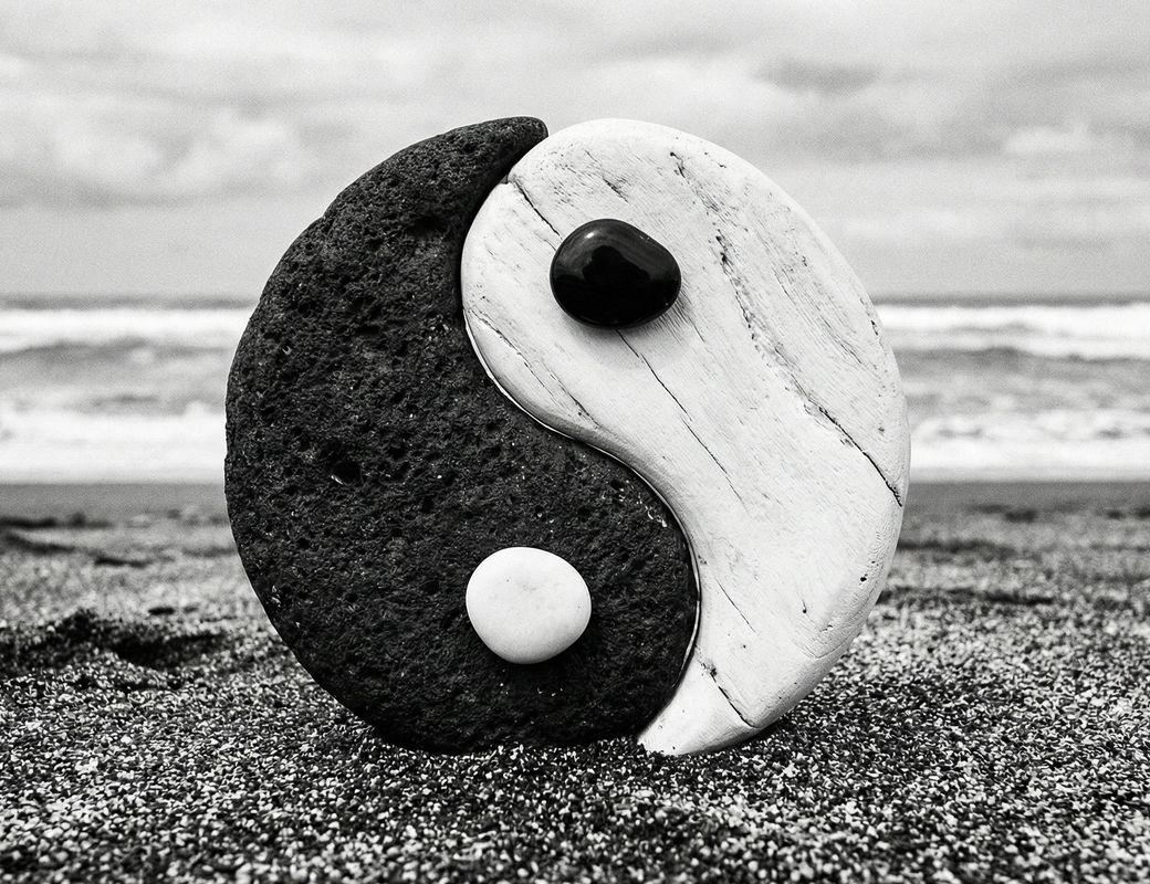 ☯ Yin and Yang