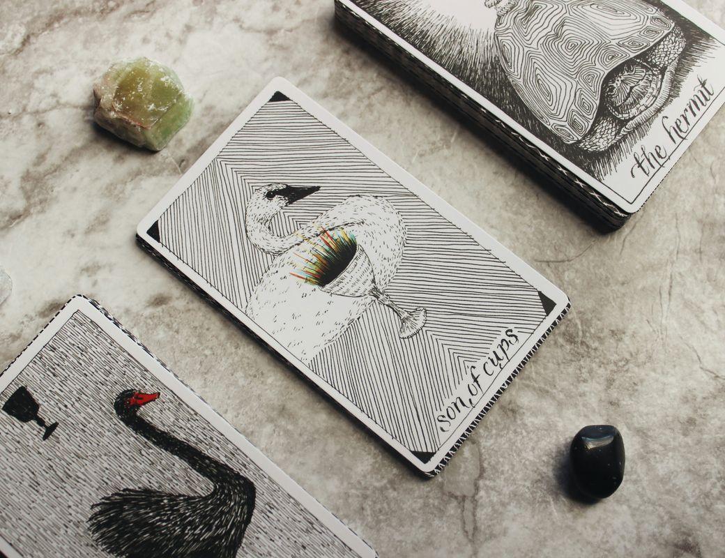 Illustration for Too Many Cards, Too Little Clarity