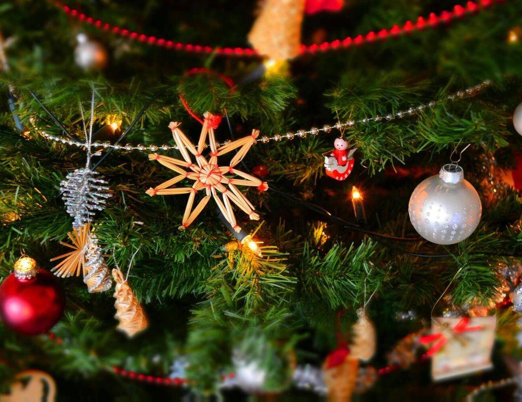 Merry Christmas 🎄