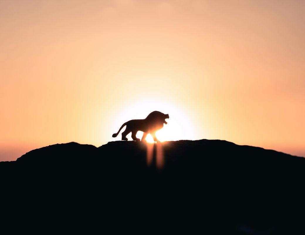 Illustration for ☀️ SUN IN LEO 🦁