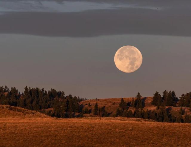 November Mourning Moon Magic