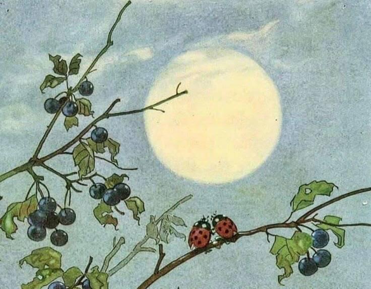 Illustration for 🌕 Moon and Food