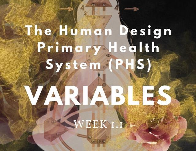 The Human Design Primary Health System