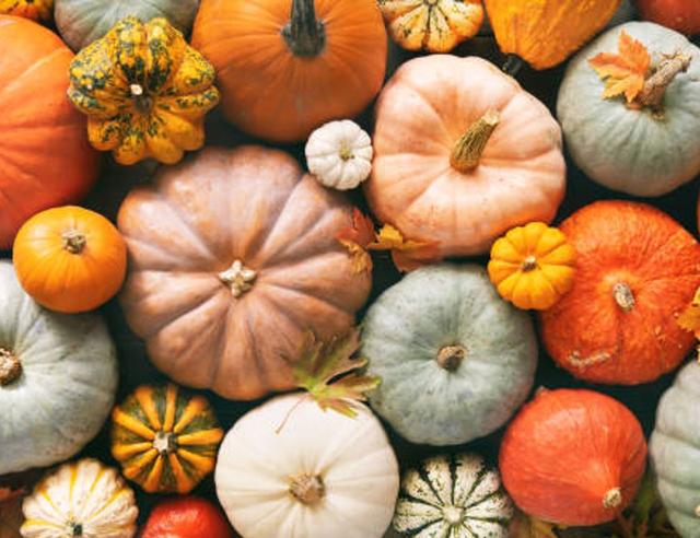 October, Season of the Witch