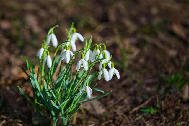 The Power of the Seasons in Daily Life