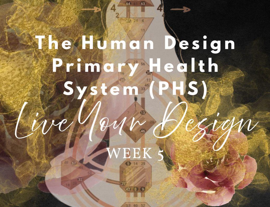 PHS Series | Week 5, Monday
