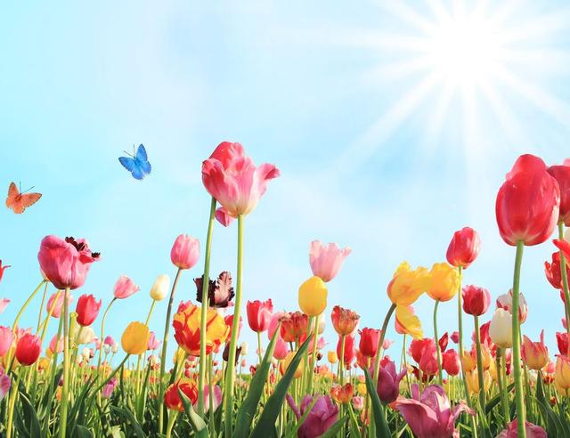 April Spring Renewal Magic