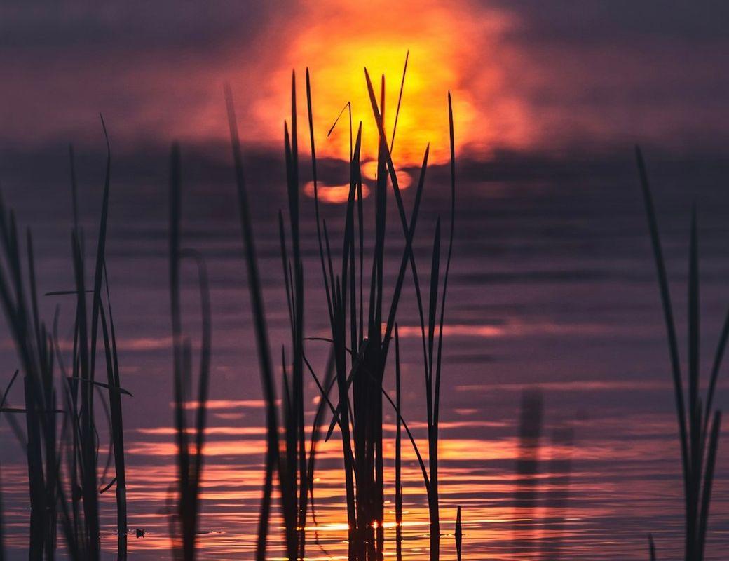 Gentle Rituals for Reflecting on the Month